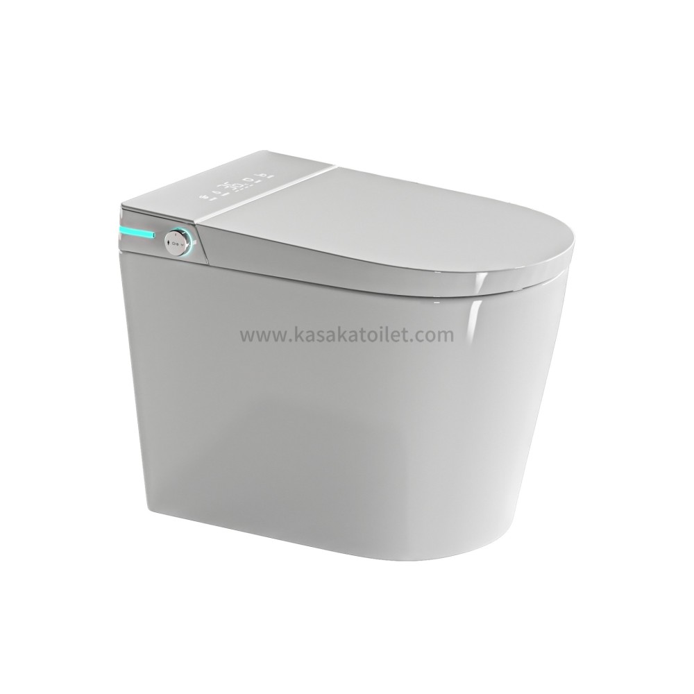 Smart Toilet