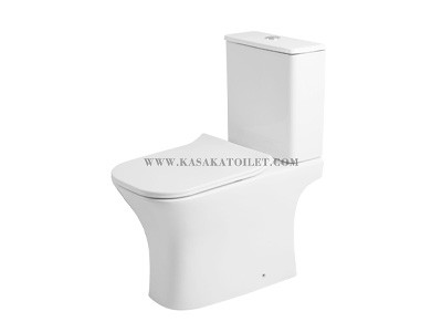Ceramic Toilet